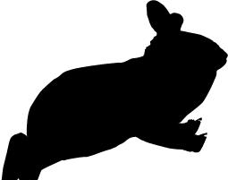 思维导图|几个常用的动画技巧,让你的PPT像动漫一样的吸引人,堪比flash