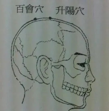 虚穴|降糖穴、升阳穴、补虚穴、偏瘫穴