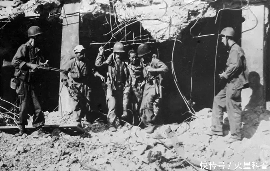 农村|农村到处种的蓖麻竟是生化武器,15毫克就能致命,这是怎么回事