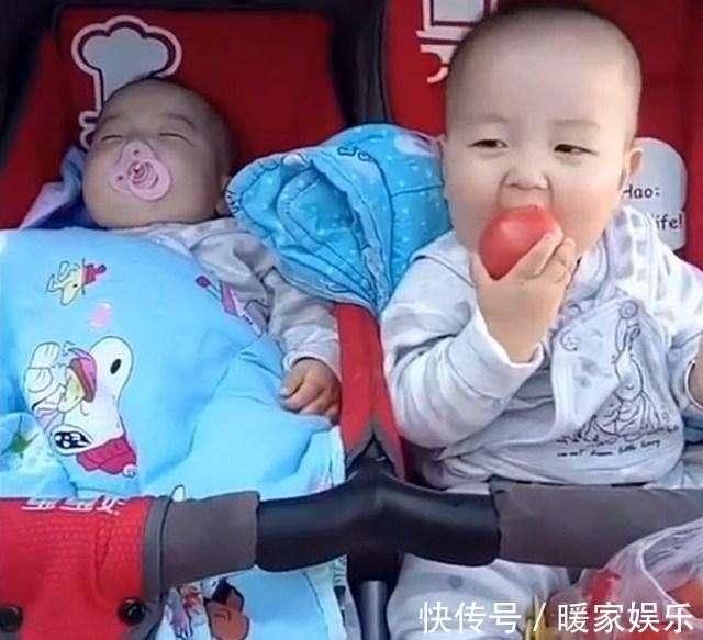 哥哥|双胞胎哥哥趁弟弟睡着偷吃西红柿, 哥哥得意的表情笑喷妈妈