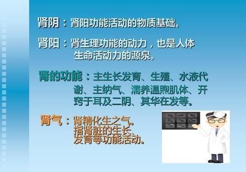 内经|桂附地黄丸和金匮肾气丸各自的功效有什么不同？