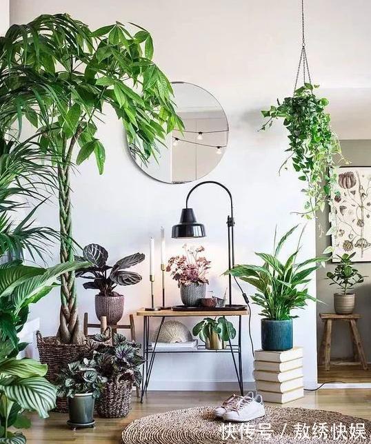 土壤贫瘠、结块,该怎么改善用上这“2种药”,养花没压力