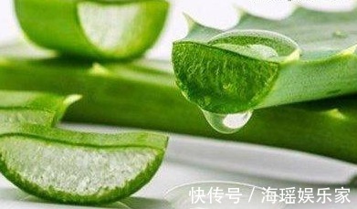 红心火龙果|对身体很好的食物,每天吃一些,养颜抗衰,改善体质,好处多多