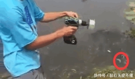 电钻|男子发明神奇钓鱼工具,直播试验收获满满,乐的合不拢嘴