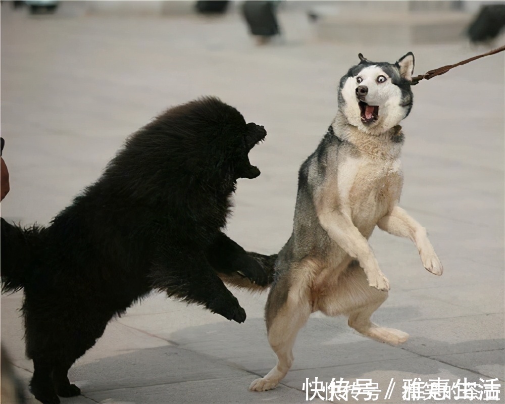 |笑话十则:刚才那句“谢谢老板”就值五元,说别的,得加钱