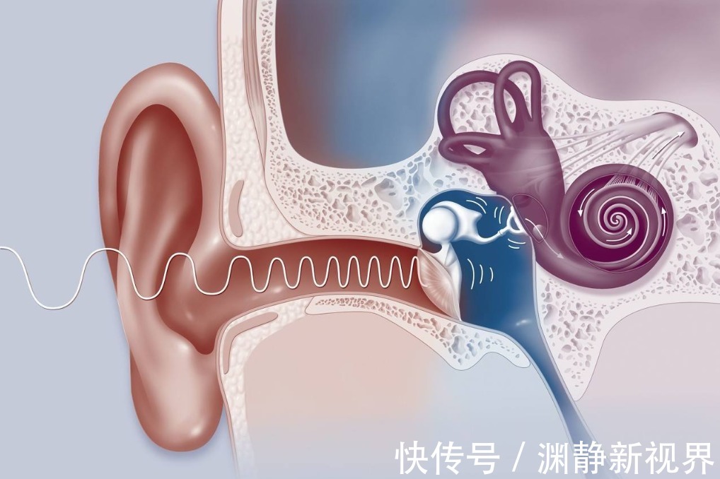 肚脐眼|女性身上这些点还是“脏”些好，男人别嫌弃，这才是健康的表现