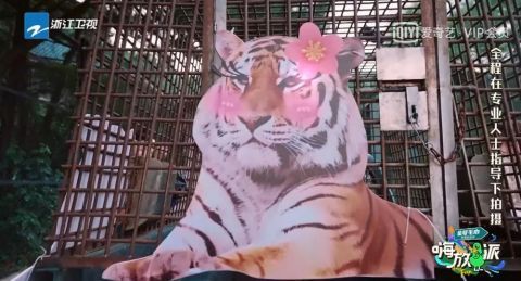 節(jié)目|《嗨放派》：一切偉大或許源于一個微不足道的開始