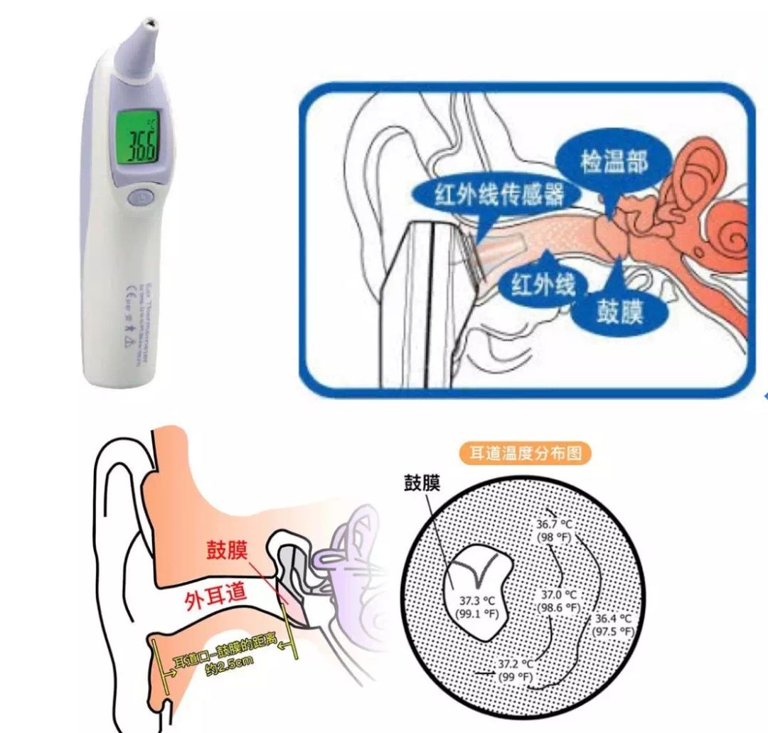  正确|「科普」如何正确使用耳温枪