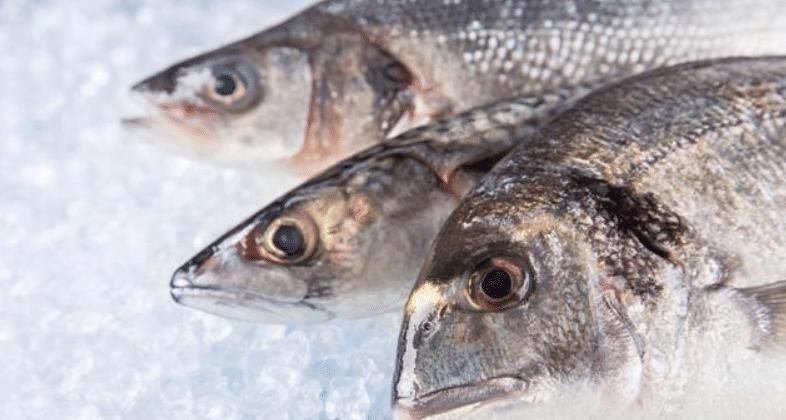 补充营养|怀孕吃鱼好处多多,但这四种鱼类最好别吃,对胎宝宝有害无益