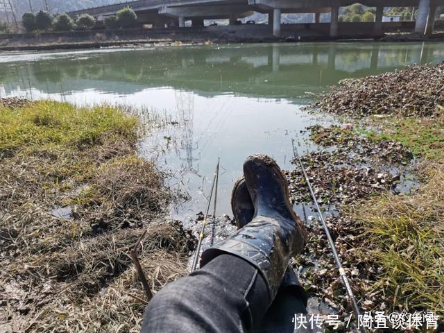 大鱼|垂钓最爽的5个时刻,正常人难以理解,钓鱼人直呼过瘾