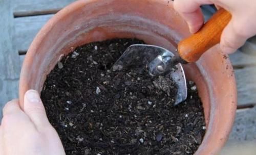 自制养花营养土，用上4种“小东西”，盆土松软透气，养啥花都旺