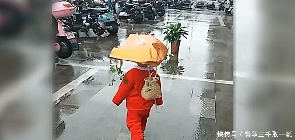 孙子|雨天宝宝非要出去耍,然后就成了这样,网友:要“登基”啊!