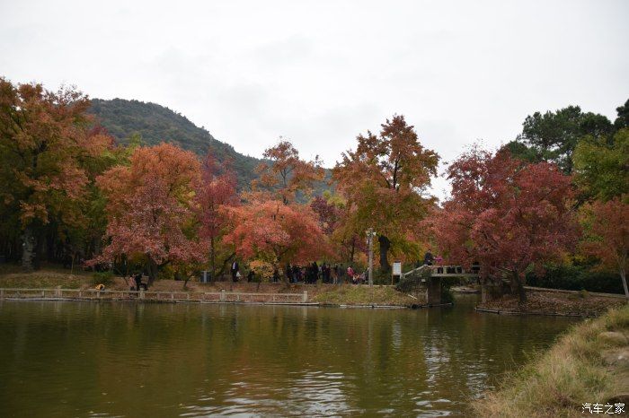 天平山|【喜迎国庆】停车坐爱枫林晚，霜叶红于二月花。游天平山赏枫叶