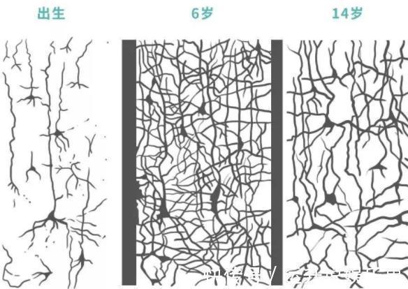 积木|孩子一生,有3次“变聪明”的机会,是有科学依据的,父母要抓住