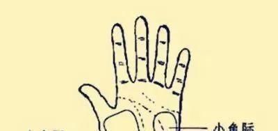 对症治疗|手掌上这块肉,一看就知道身体好不好!没事经常搓一搓,宣肺强心