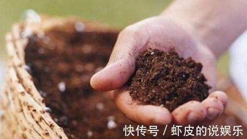 花盆里换下来的土能用吗,怎么正确再利用