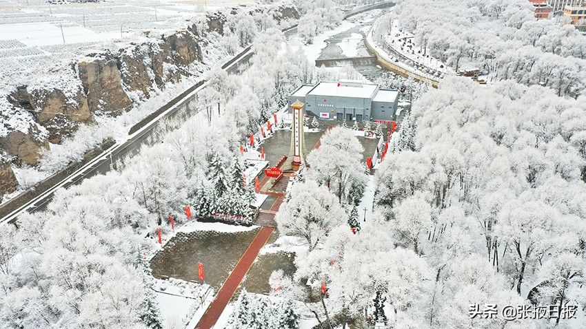 祁连山下忽如一夜“雪”飘来，千树万树“雪”花开