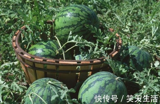 海鲜类|冬天到了,3种食物赶快丢掉,别影响全家健康,早知早受益