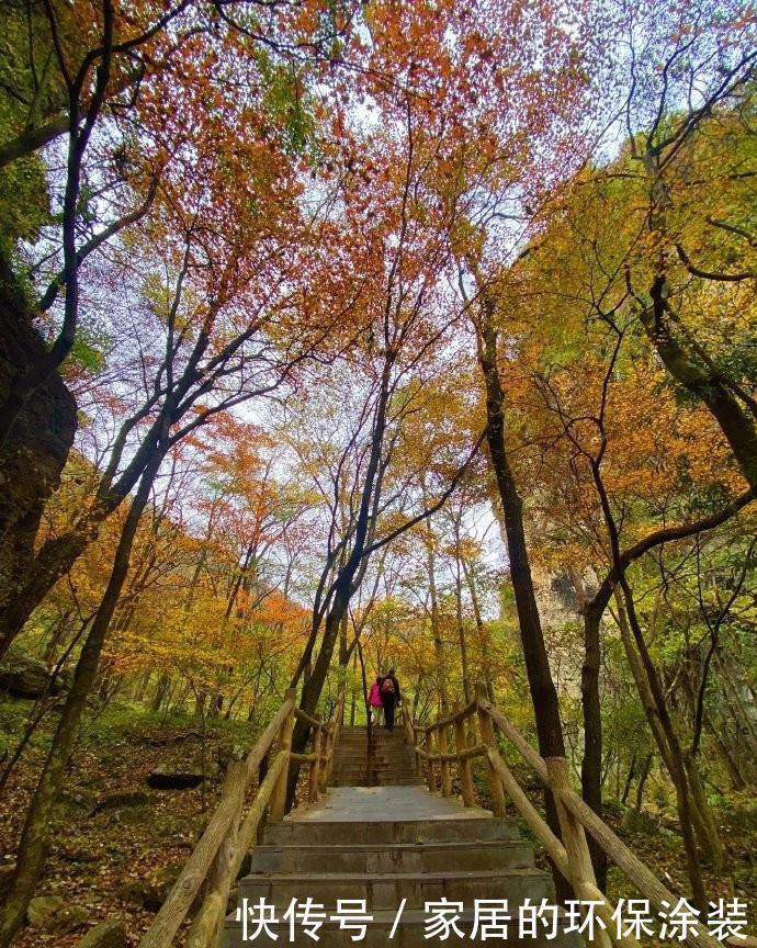 秋天|抓住秋天的尾巴，发现更美的秦岭