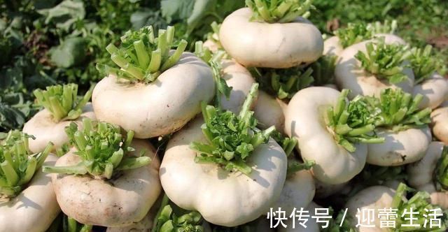 种植|它一直被人误认是“萝卜”,种植历史悠久,很多人不知道怎么吃
