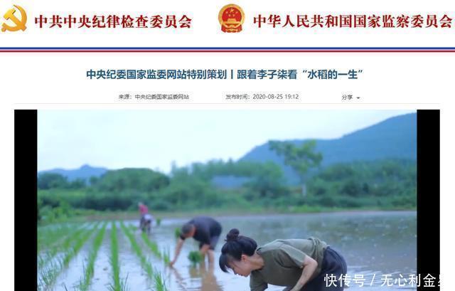 李子|跟着李子柒看作物的一生,西瓜皮也能变成食材