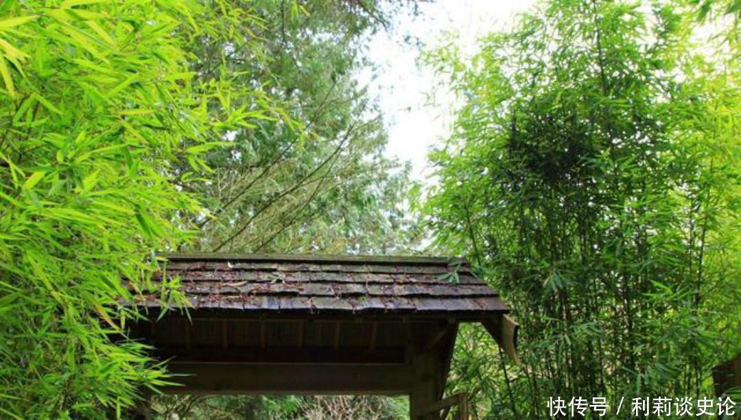 这首诗|元稹一首很特别的诗,写得生动有趣,读来让人有一种身临其境之感