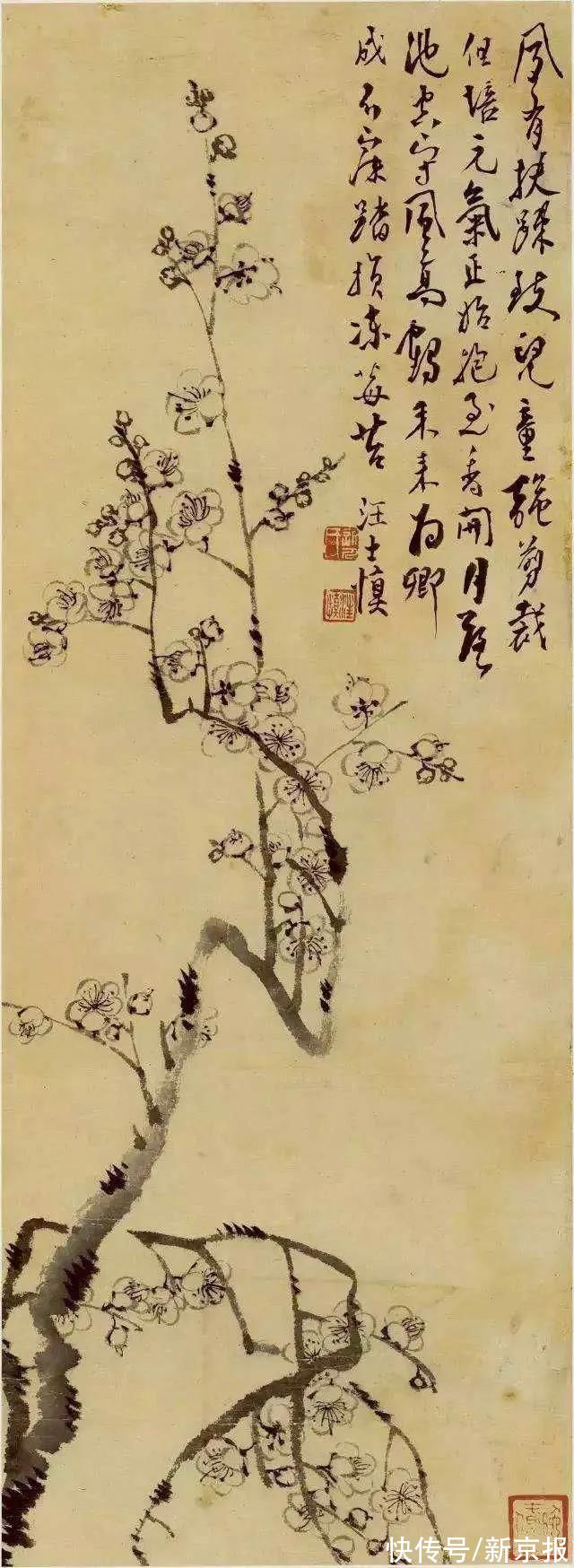 李清照!李清照的“梅”:此花不与群花比丨周末读诗