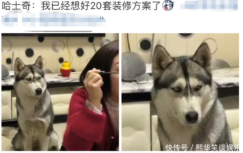 燕小六|“你以为的女主播，和女神的真正面目”哈哈哈哈哈孩子可能都三岁了！！