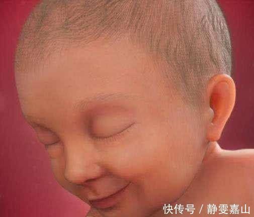 全麦面包|胎儿在子宫里有多少个月开始长头发孕妇有什么反应专家给出答案