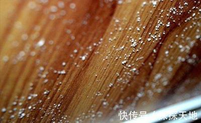 套房|这就是装过几套房的老手选择不锈钢橱柜的原因