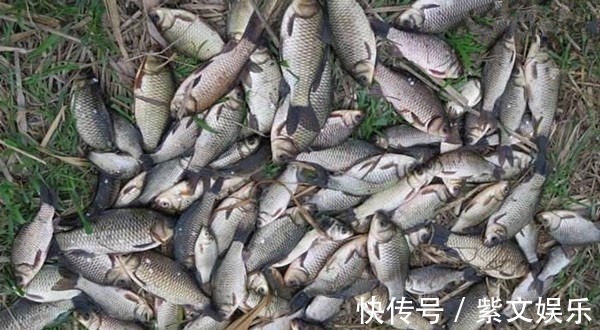 小寒前后气温最低，钓鲫鱼注意这些要点，天寒地冻也能连竿上鱼