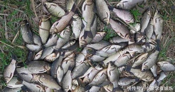 隐藏|冬钓鲫鱼,都是用蚯蚓做饵,渔获差异巨大,那是不知这些隐藏技巧