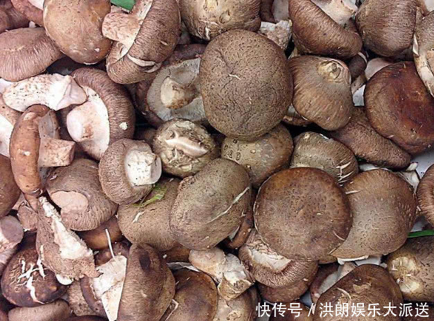 不孕不育|天然“黄体酮”,女人不妨常吃,平衡内分泌,“乳腺癌”不敢来