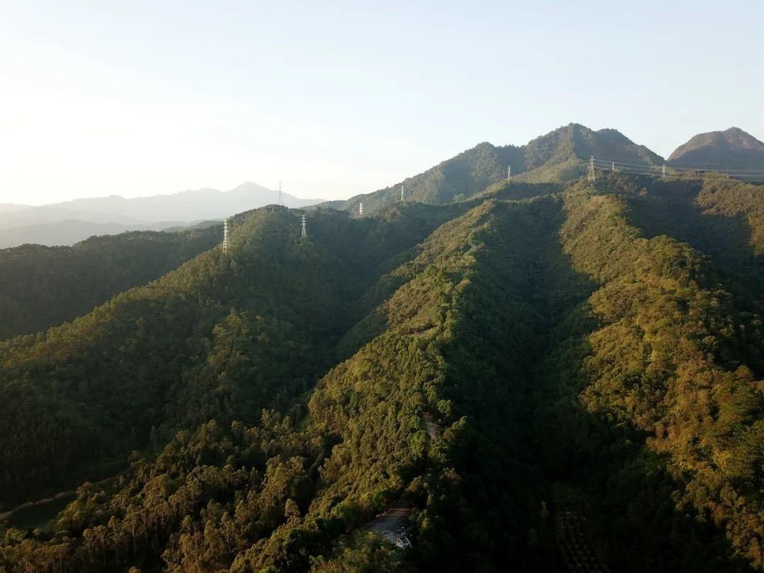 绿动|守护绿水青山！冬日畅游阿纪山，感受“绿动”麻陂