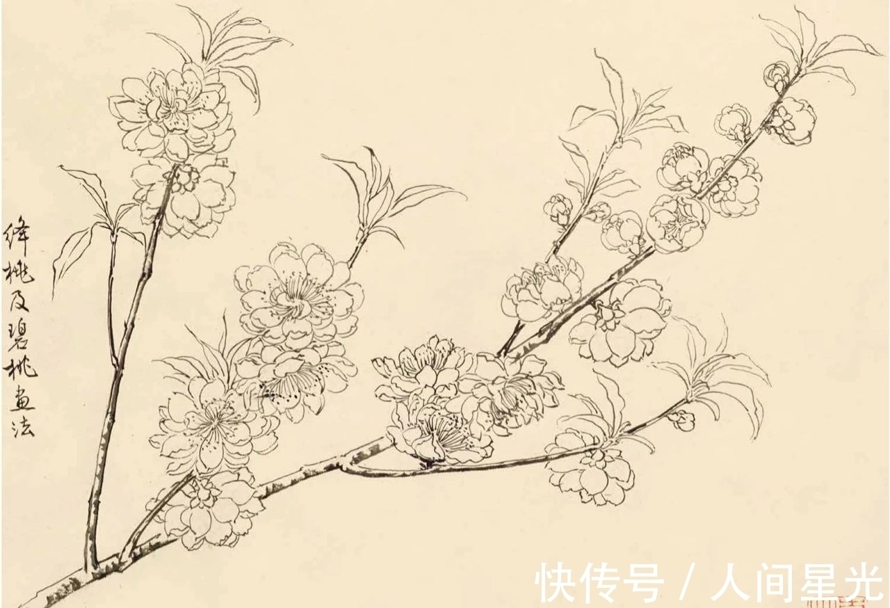 绘画作品$「津门网」陆抑非先生课堂上都给他的学生传授了什么样的秘籍?