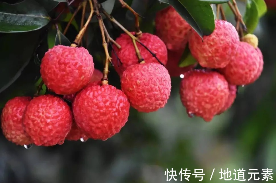 减肥|7种「高糖分」水果，比米饭还「容易胖」，你却为了减肥天天吃