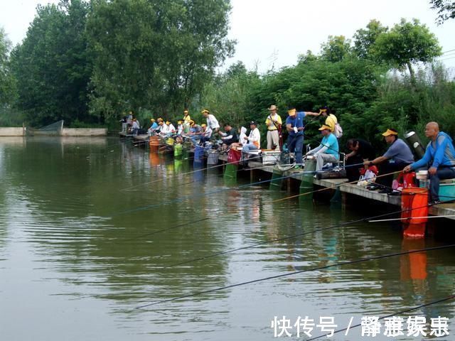 别以为黑坑钓鱼很简单，这四种不同类型的黑坑，哪个都不好钓