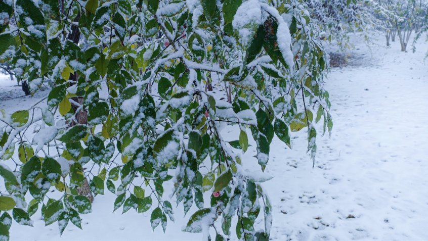 冬雪|山传初雪，许你一场深情共白头