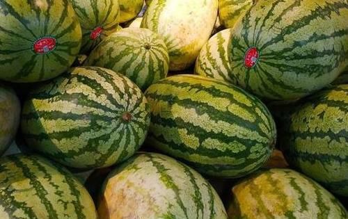 吃不完的西瓜不要放冰箱，瓜农教你此种做法，放2天也不会坏