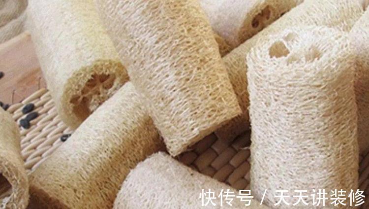 草木灰|秋天能收集到的“养花宝”，这4种一样都不能错过