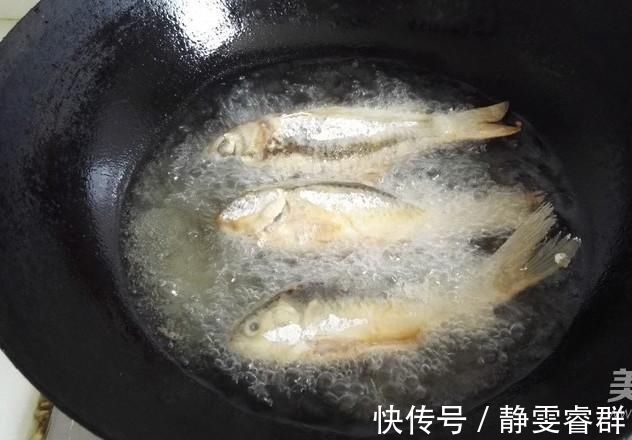 好吃|营养比甲鱼高，只能是它，红烧煲汤都好吃，5块一斤却无人问津