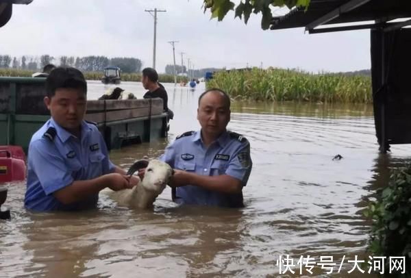 常村镇|洪灾面前，叶县民警无畏风雨挺身而出