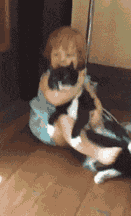 |搞笑GIF段子:高手在民间,老大哥跳的好啊