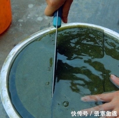 用树叶做的豆腐,只有农村人才会,你有见过么?