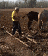 |搞笑GIF:和朋友一起吃饭, 就这个菜没敢动筷子!