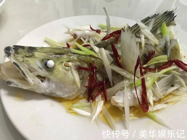 临沂|凶猛梭鲈鱼入侵山东多地,临沂钓鱼人:钓了几条,以为是鳜鱼