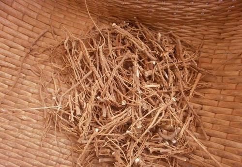 气血|人的身体有4根,影响你的颜值和气血!