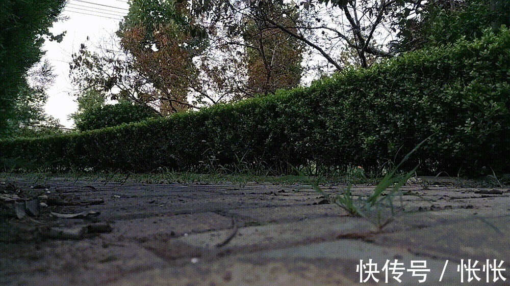 高弹减震稳着陆,跑步更安全,初跑者的新选择|咕咚10K悦弹跑鞋 | 初跑者