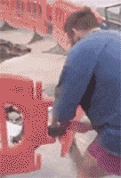 |搞笑GIF:今天给大家展示一下 什么叫做做贼心虚