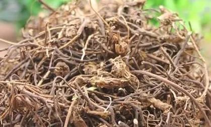 颈椎遇到化铁化剌方也得避让,一个快要失传的化剌方,让你的颈椎灵动自如